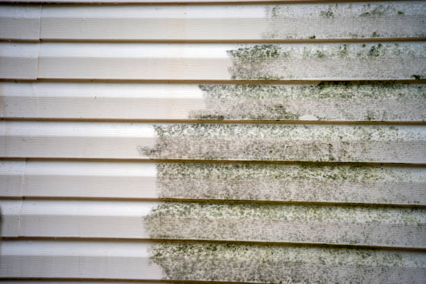 Best Storm Damage Siding Repair  in Macarthur, WV